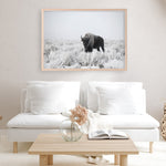 Shop Snow Buffalo Photo Art Print a photography wall art print from The Print Emporium wall artwork collection - Buy Australian made fine art poster and framed prints for the home and your interior decor room, TPE-111-AP
