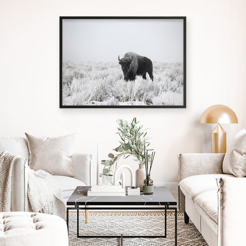 Shop Snow Buffalo Photo Art Print a photography wall art print from The Print Emporium wall artwork collection - Buy Australian made fine art poster and framed prints for the home and your interior decor room, TPE-111-AP