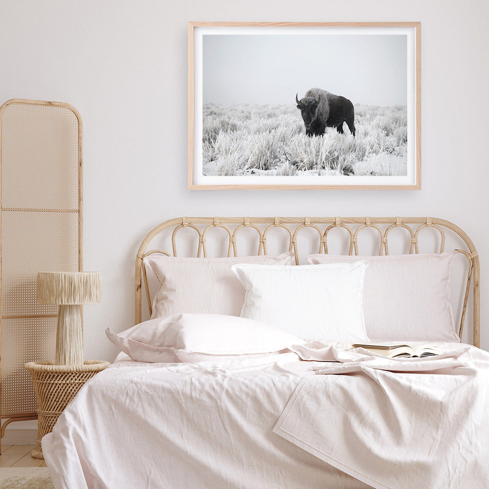 Shop Snow Buffalo Photo Art Print a photography wall art print from The Print Emporium wall artwork collection - Buy Australian made fine art poster and framed prints for the home and your interior decor room, TPE-111-AP