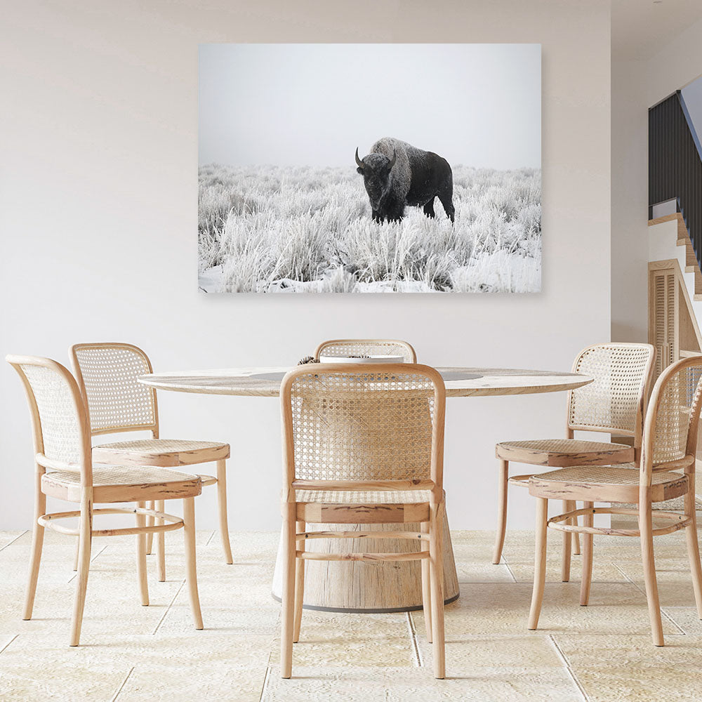 Shop Snow Buffalo Photo Canvas Print a photography framed stretched canvas print from The Print Emporium wall artwork collection - Buy Australian made prints for the home and your interior decor space, TPE-111-CA-35X46-NF