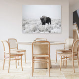 Shop Snow Buffalo Photo Canvas Print a photography framed stretched canvas print from The Print Emporium wall artwork collection - Buy Australian made prints for the home and your interior decor space, TPE-111-CA-35X46-NF