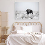 Shop Snow Buffalo Photo Canvas Print a photography framed stretched canvas print from The Print Emporium wall artwork collection - Buy Australian made prints for the home and your interior decor space, TPE-111-CA-35X46-NF
