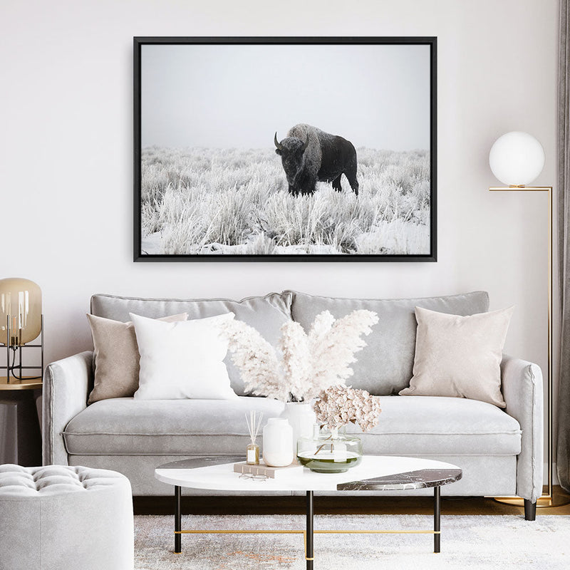 Shop Snow Buffalo Photo Canvas Print a photography framed stretched canvas print from The Print Emporium wall artwork collection - Buy Australian made prints for the home and your interior decor space, TPE-111-CA-35X46-NF