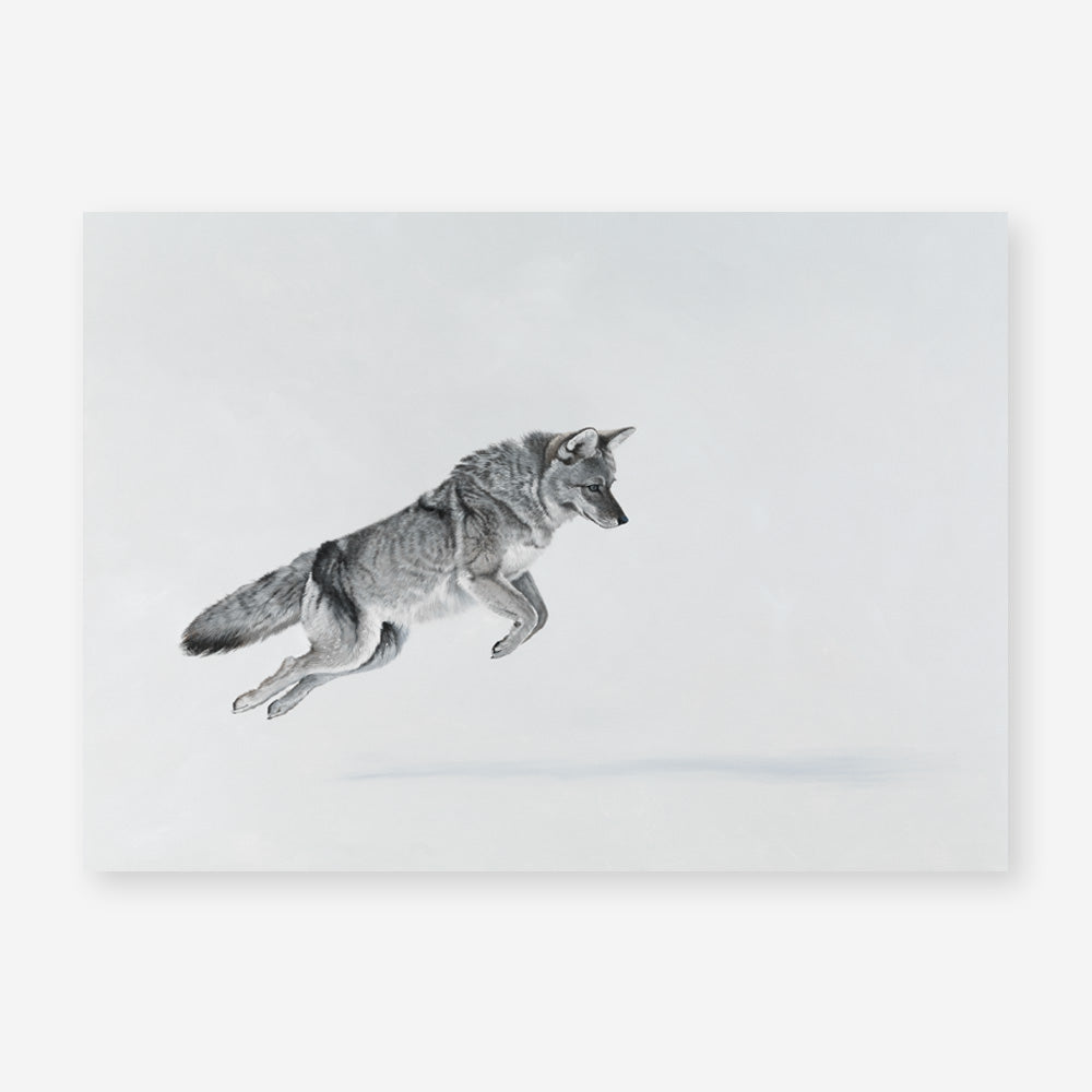 Shop Snow Fox Art Print a painted style wall art print from The Print Emporium wall artwork collection - Buy Australian made fine art painting style poster and framed prints for the home and your interior decor room, TPE-212-AP