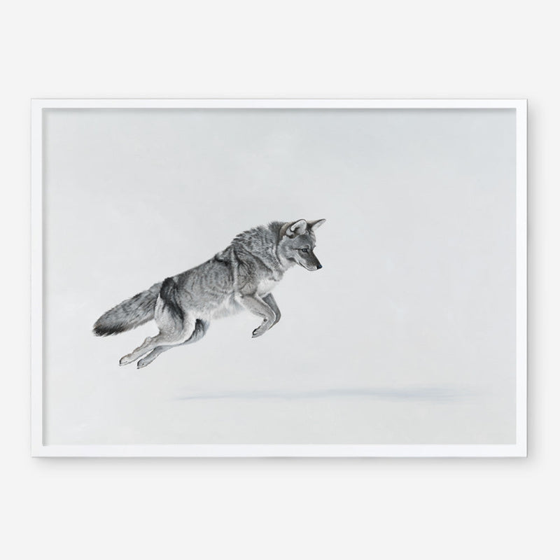 Shop Snow Fox Art Print a painted style wall art print from The Print Emporium wall artwork collection - Buy Australian made fine art painting style poster and framed prints for the home and your interior decor room, TPE-212-AP