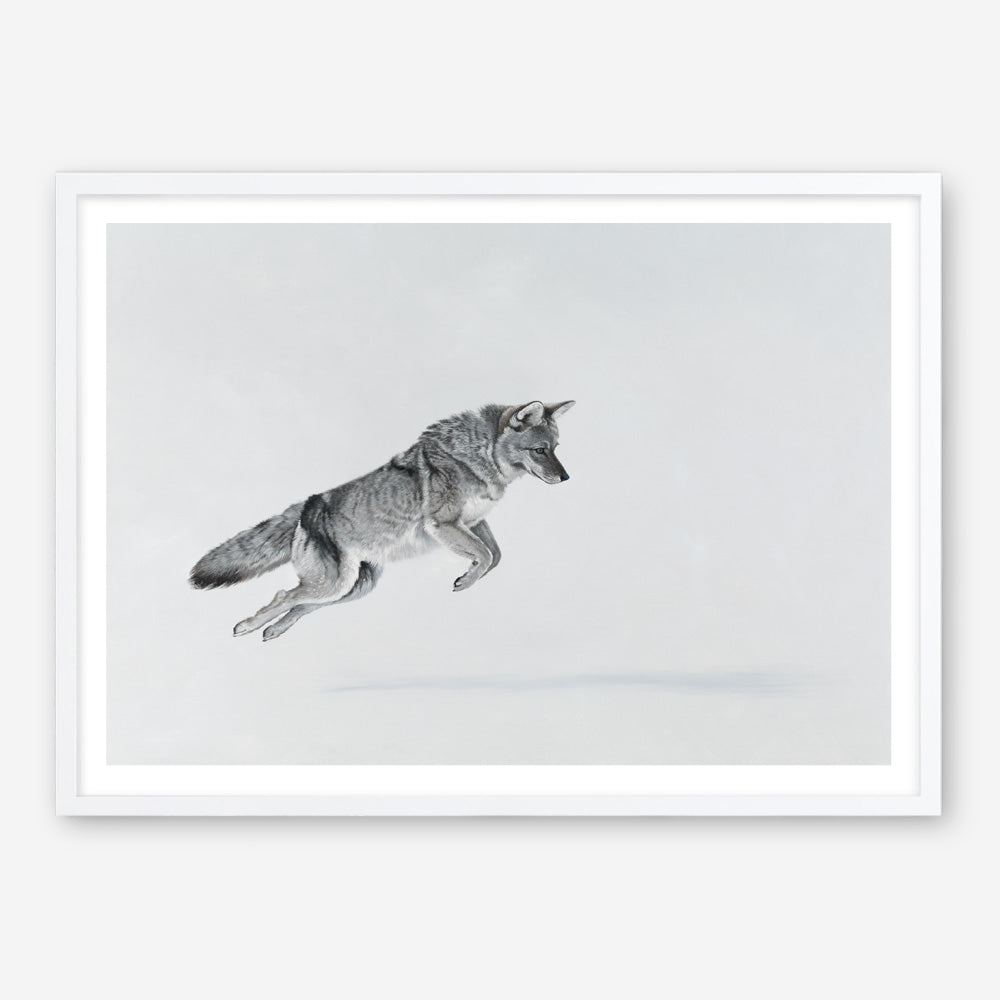 Shop Snow Fox Art Print a painted style wall art print from The Print Emporium wall artwork collection - Buy Australian made fine art painting style poster and framed prints for the home and your interior decor room, TPE-212-AP