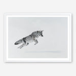 Shop Snow Fox Art Print a painted style wall art print from The Print Emporium wall artwork collection - Buy Australian made fine art painting style poster and framed prints for the home and your interior decor room, TPE-212-AP