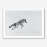 Shop Snow Fox Art Print a painted style wall art print from The Print Emporium wall artwork collection - Buy Australian made fine art painting style poster and framed prints for the home and your interior decor room, TPE-212-AP