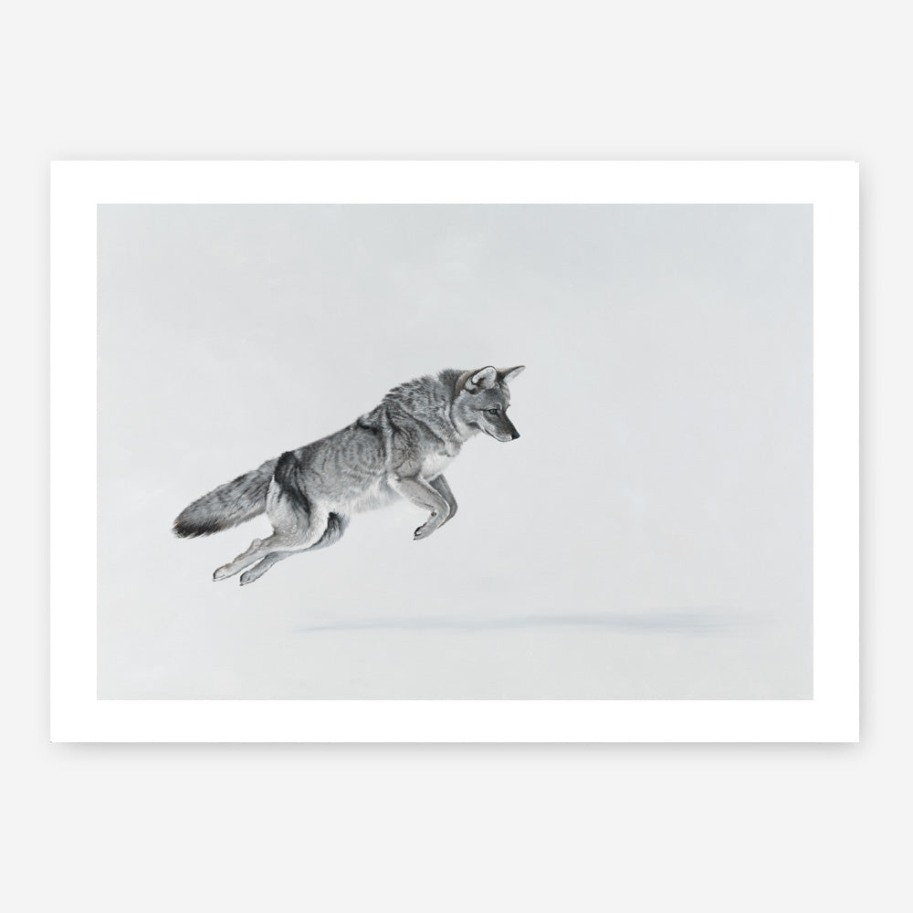 Shop Snow Fox Art Print a painted style wall art print from The Print Emporium wall artwork collection - Buy Australian made fine art painting style poster and framed prints for the home and your interior decor room, TPE-212-AP
