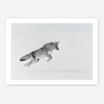 Shop Snow Fox Art Print a painted style wall art print from The Print Emporium wall artwork collection - Buy Australian made fine art painting style poster and framed prints for the home and your interior decor room, TPE-212-AP