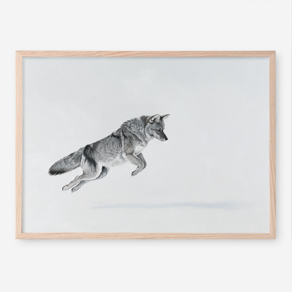 Shop Snow Fox Art Print a painted style wall art print from The Print Emporium wall artwork collection - Buy Australian made fine art painting style poster and framed prints for the home and your interior decor room, TPE-212-AP