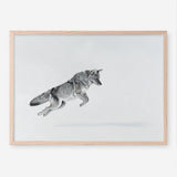Shop Snow Fox Art Print a painted style wall art print from The Print Emporium wall artwork collection - Buy Australian made fine art painting style poster and framed prints for the home and your interior decor room, TPE-212-AP
