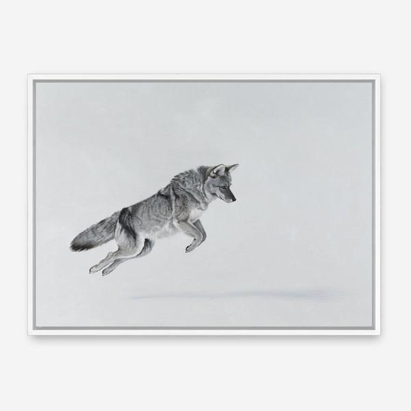 Shop Snow Fox Canvas Print a painted style framed canvas wall art print from The Print Emporium artwork collection - Buy Australian made fine art painting style stretched canvas prints for the home and your interior decor space, TPE-212-CA-35X46-NF