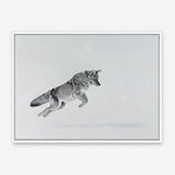 Shop Snow Fox Canvas Print a painted style framed canvas wall art print from The Print Emporium artwork collection - Buy Australian made fine art painting style stretched canvas prints for the home and your interior decor space, TPE-212-CA-35X46-NF