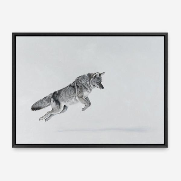 Shop Snow Fox Canvas Print a painted style framed canvas wall art print from The Print Emporium artwork collection - Buy Australian made fine art painting style stretched canvas prints for the home and your interior decor space, TPE-212-CA-35X46-NF