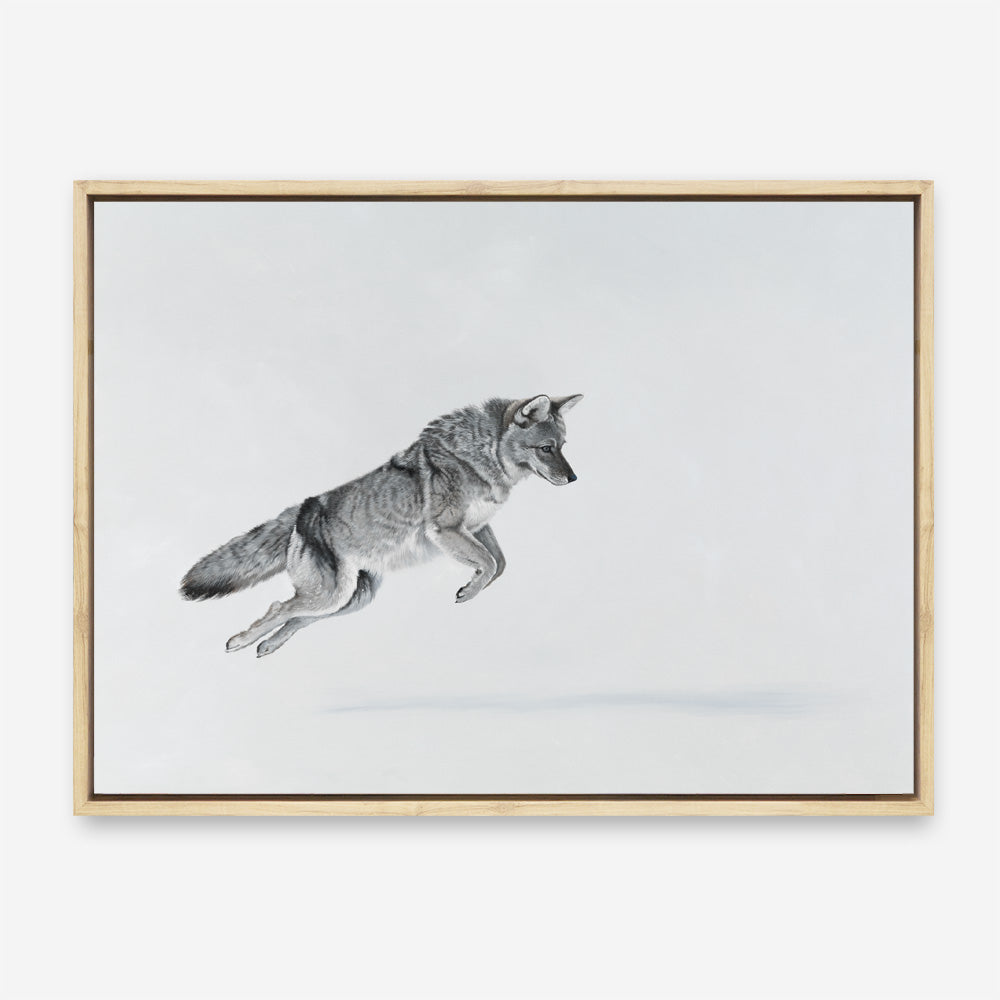 Shop Snow Fox Canvas Print a painted style framed canvas wall art print from The Print Emporium artwork collection - Buy Australian made fine art painting style stretched canvas prints for the home and your interior decor space, TPE-212-CA-35X46-NF
