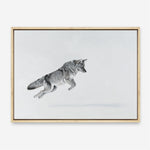 Shop Snow Fox Canvas Print a painted style framed canvas wall art print from The Print Emporium artwork collection - Buy Australian made fine art painting style stretched canvas prints for the home and your interior decor space, TPE-212-CA-35X46-NF