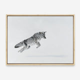 Shop Snow Fox Canvas Print a painted style framed canvas wall art print from The Print Emporium artwork collection - Buy Australian made fine art painting style stretched canvas prints for the home and your interior decor space, TPE-212-CA-35X46-NF