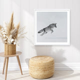 Shop Snow Fox (Square) Art Print a painted style wall art print from The Print Emporium wall artwork collection - Buy Australian made fine art painting style poster and framed prints for the home and your interior decor room, TPE-204-AP