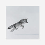 Shop Snow Fox (Square) Art Print a painted style wall art print from The Print Emporium wall artwork collection - Buy Australian made fine art painting style poster and framed prints for the home and your interior decor room, TPE-204-AP