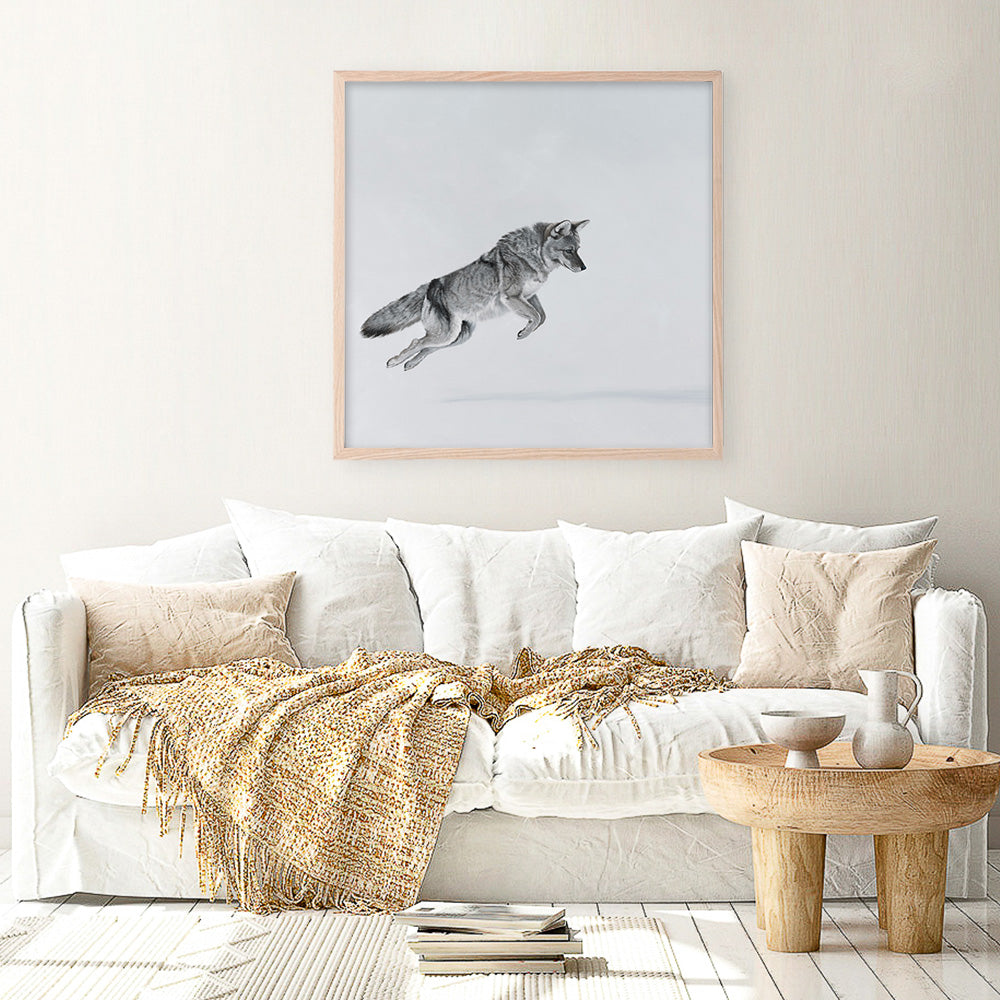 Shop Snow Fox (Square) Art Print a painted style wall art print from The Print Emporium wall artwork collection - Buy Australian made fine art painting style poster and framed prints for the home and your interior decor room, TPE-204-AP