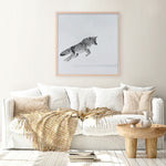 Shop Snow Fox (Square) Art Print a painted style wall art print from The Print Emporium wall artwork collection - Buy Australian made fine art painting style poster and framed prints for the home and your interior decor room, TPE-204-AP