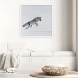 Shop Snow Fox (Square) Art Print a painted style wall art print from The Print Emporium wall artwork collection - Buy Australian made fine art painting style poster and framed prints for the home and your interior decor room, TPE-204-AP