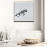 Shop Snow Fox (Square) Canvas Print a painted style framed canvas wall art print from The Print Emporium artwork collection - Buy Australian made fine art painting style stretched canvas prints for the home and your interior decor space, TPE-204-CA-40X40-NF