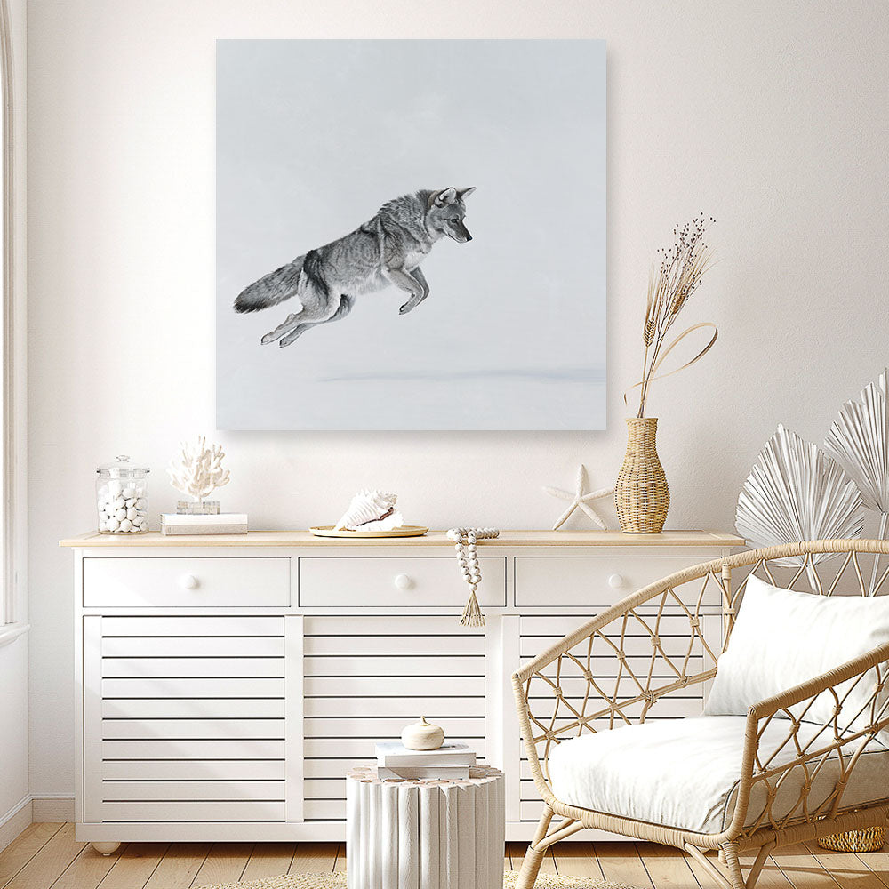Shop Snow Fox (Square) Canvas Print a painted style framed canvas wall art print from The Print Emporium artwork collection - Buy Australian made fine art painting style stretched canvas prints for the home and your interior decor space, TPE-204-CA-40X40-NF
