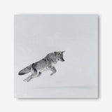 Shop Snow Fox (Square) Canvas Print a painted style framed canvas wall art print from The Print Emporium artwork collection - Buy Australian made fine art painting style stretched canvas prints for the home and your interior decor space, TPE-204-CA-40X40-NF