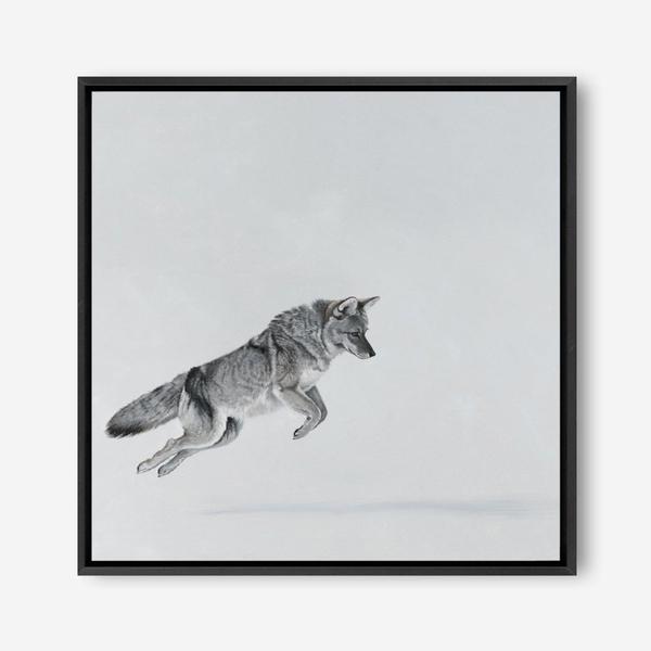 Shop Snow Fox (Square) Canvas Print a painted style framed canvas wall art print from The Print Emporium artwork collection - Buy Australian made fine art painting style stretched canvas prints for the home and your interior decor space, TPE-204-CA-40X40-NF