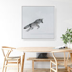 Shop Snow Fox (Square) Canvas Print a painted style framed canvas wall art print from The Print Emporium artwork collection - Buy Australian made fine art painting style stretched canvas prints for the home and your interior decor space, TPE-204-CA-40X40-NF