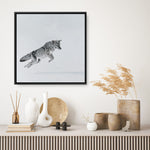 Shop Snow Fox (Square) Canvas Print a painted style framed canvas wall art print from The Print Emporium artwork collection - Buy Australian made fine art painting style stretched canvas prints for the home and your interior decor space, TPE-204-CA-40X40-NF