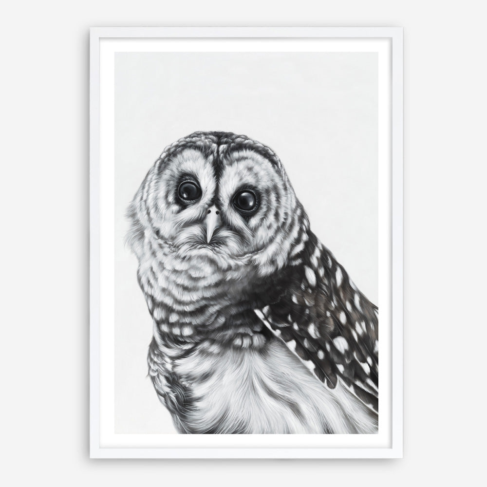 Shop Snow Owl Art Print a painted bird themed wall art print from The Print Emporium wall artwork collection - Buy Australian made fine art painting style poster and framed prints for the home and your interior decor room, TPE-176-AP