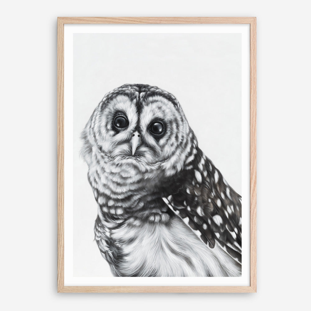 Shop Snow Owl Art Print a painted bird themed wall art print from The Print Emporium wall artwork collection - Buy Australian made fine art painting style poster and framed prints for the home and your interior decor room, TPE-176-AP