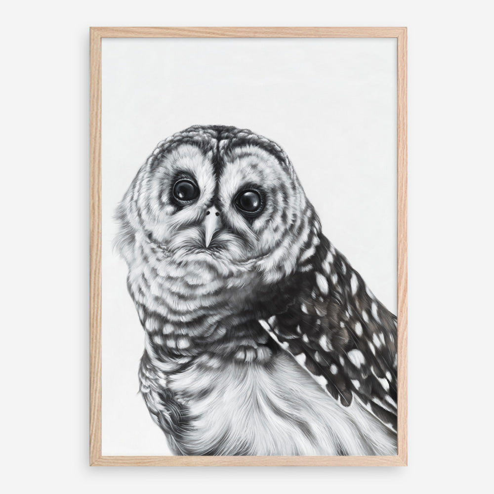 Shop Snow Owl Art Print a painted bird themed wall art print from The Print Emporium wall artwork collection - Buy Australian made fine art painting style poster and framed prints for the home and your interior decor room, TPE-176-AP