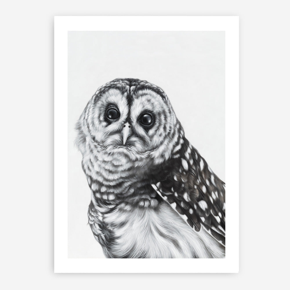 Shop Snow Owl Art Print a painted bird themed wall art print from The Print Emporium wall artwork collection - Buy Australian made fine art painting style poster and framed prints for the home and your interior decor room, TPE-176-AP