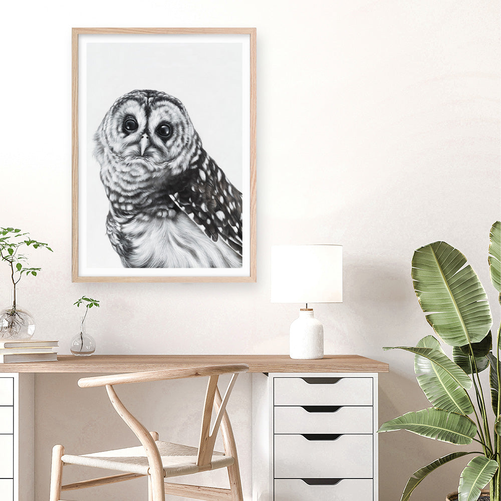 Shop Snow Owl Art Print a painted bird themed wall art print from The Print Emporium wall artwork collection - Buy Australian made fine art painting style poster and framed prints for the home and your interior decor room, TPE-176-AP