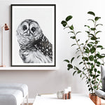 Shop Snow Owl Art Print a painted bird themed wall art print from The Print Emporium wall artwork collection - Buy Australian made fine art painting style poster and framed prints for the home and your interior decor room, TPE-176-AP