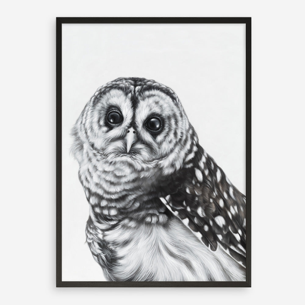 Shop Snow Owl Art Print a painted bird themed wall art print from The Print Emporium wall artwork collection - Buy Australian made fine art painting style poster and framed prints for the home and your interior decor room, TPE-176-AP