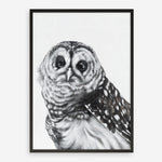 Shop Snow Owl Art Print a painted bird themed wall art print from The Print Emporium wall artwork collection - Buy Australian made fine art painting style poster and framed prints for the home and your interior decor room, TPE-176-AP