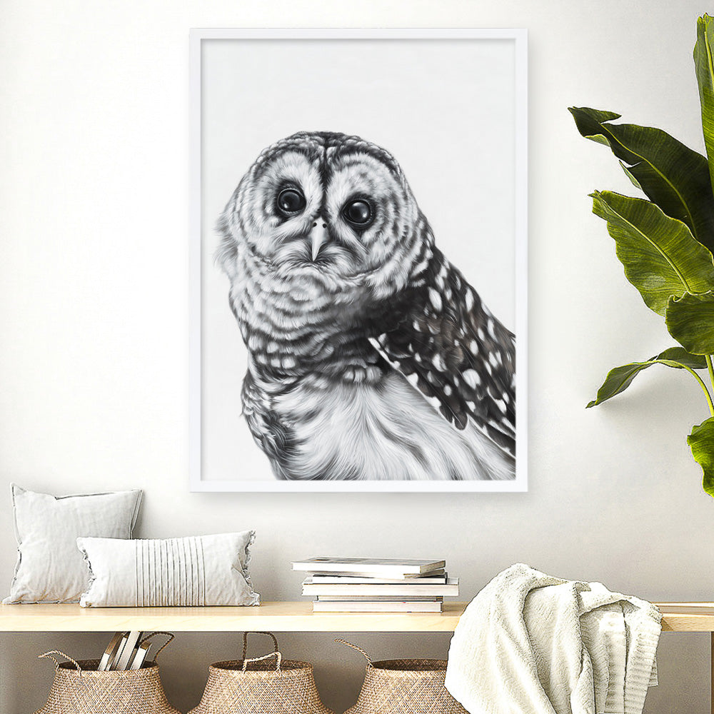 Shop Snow Owl Art Print a painted bird themed wall art print from The Print Emporium wall artwork collection - Buy Australian made fine art painting style poster and framed prints for the home and your interior decor room, TPE-176-AP