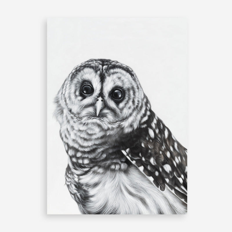 Shop Snow Owl Art Print a painted bird themed wall art print from The Print Emporium wall artwork collection - Buy Australian made fine art painting style poster and framed prints for the home and your interior decor room, TPE-176-AP