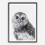 Shop Snow Owl Art Print a painted bird themed wall art print from The Print Emporium wall artwork collection - Buy Australian made fine art painting style poster and framed prints for the home and your interior decor room, TPE-176-AP