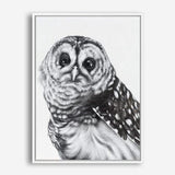 Shop Snow Owl Canvas Print a painted bird themed framed canvas wall art print from The Print Emporium artwork collection - Buy Australian made fine art painting style stretched canvas prints for the home and your interior decor space, TPE-176-CA-35X46-NF