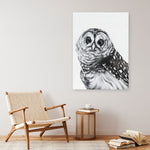 Shop Snow Owl Canvas Print a painted bird themed framed canvas wall art print from The Print Emporium artwork collection - Buy Australian made fine art painting style stretched canvas prints for the home and your interior decor space, TPE-176-CA-35X46-NF