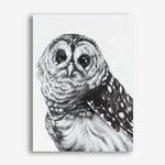 Shop Snow Owl Canvas Print a painted bird themed framed canvas wall art print from The Print Emporium artwork collection - Buy Australian made fine art painting style stretched canvas prints for the home and your interior decor space, TPE-176-CA-35X46-NF