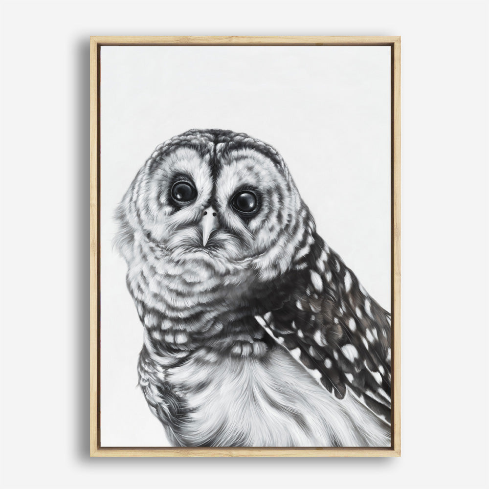 Shop Snow Owl Canvas Print a painted bird themed framed canvas wall art print from The Print Emporium artwork collection - Buy Australian made fine art painting style stretched canvas prints for the home and your interior decor space, TPE-176-CA-35X46-NF