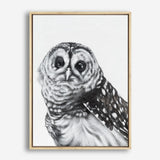 Shop Snow Owl Canvas Print a painted bird themed framed canvas wall art print from The Print Emporium artwork collection - Buy Australian made fine art painting style stretched canvas prints for the home and your interior decor space, TPE-176-CA-35X46-NF