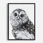 Shop Snow Owl Canvas Print a painted bird themed framed canvas wall art print from The Print Emporium artwork collection - Buy Australian made fine art painting style stretched canvas prints for the home and your interior decor space, TPE-176-CA-35X46-NF
